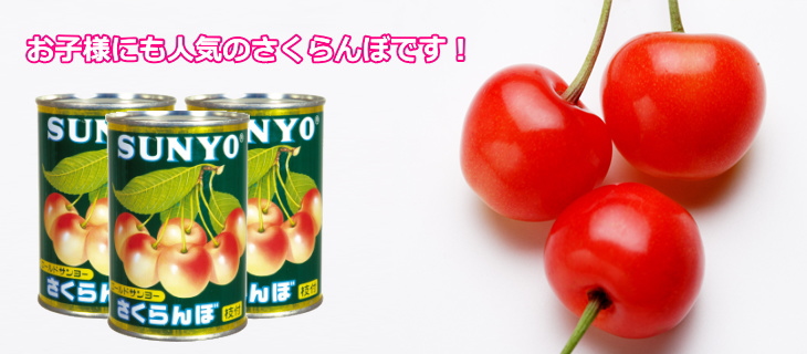 サンヨー フルーツ 缶詰め セット F-25 【福袋セール】 - 缶詰